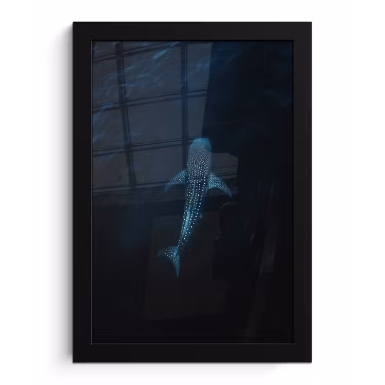 Oceaan - Walvishaai - Donkerblauw - Vlekken fotolijst zwart zonder passe partout klein -3d