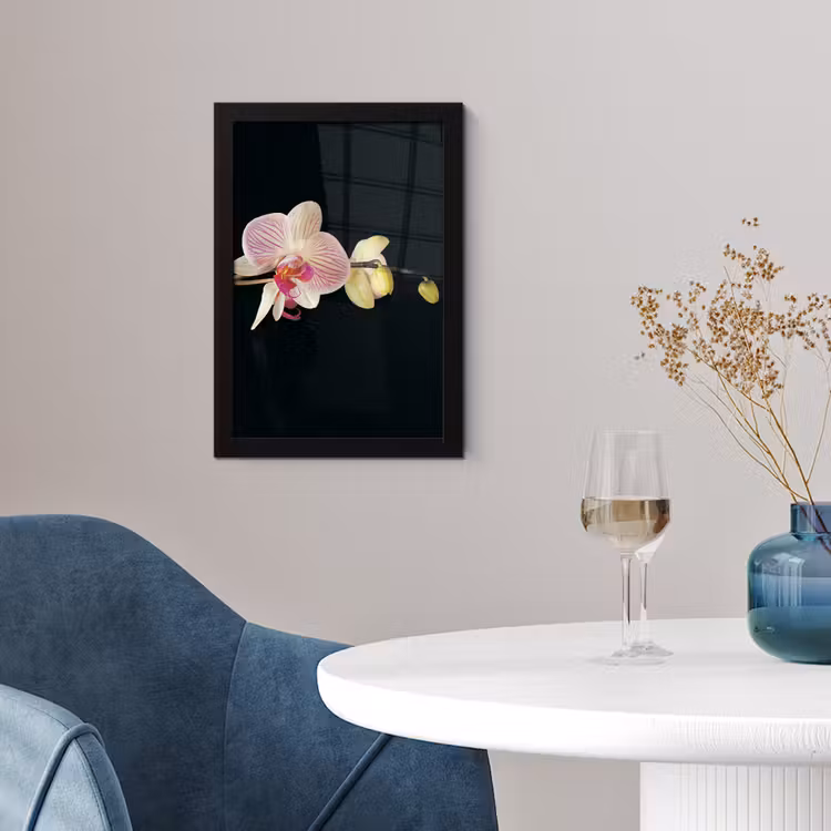 Orchidee - Bloemen - Zwart - Roze - Knoppen fotolijst zwart zonder passe partout klein -sfeer4