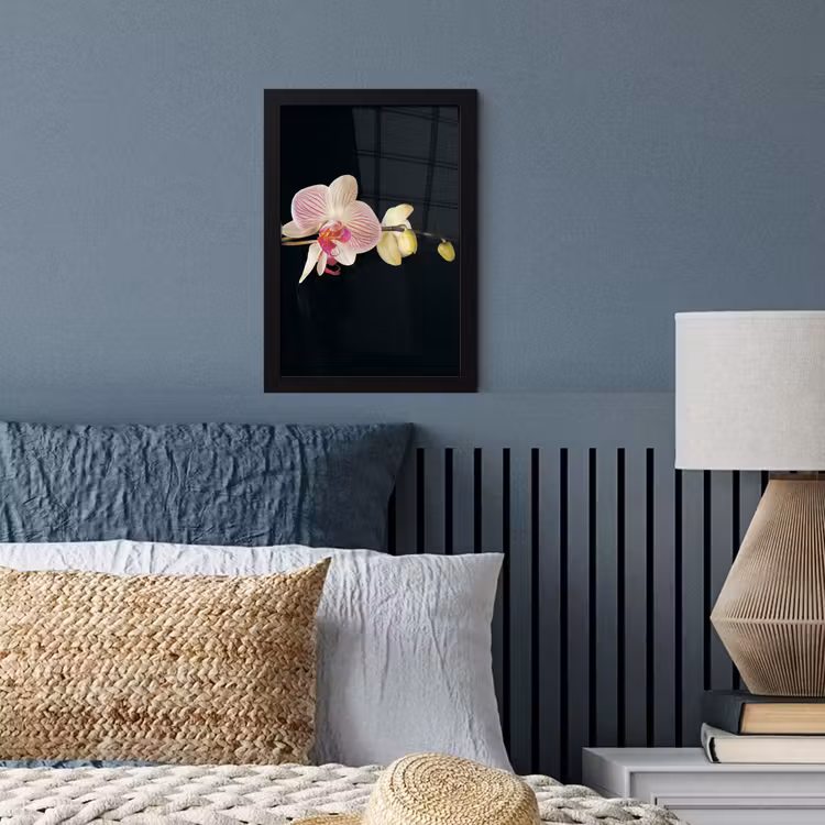 Orchidee - Bloemen - Zwart - Roze - Knoppen fotolijst zwart zonder passe partout klein -sfeer3