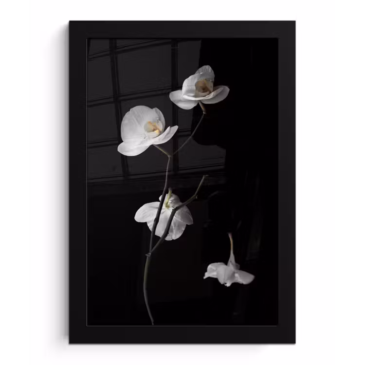 Orchidee - Bloemen - Zwart - Wit - Stilleven fotolijst zwart zonder passe partout klein -3d