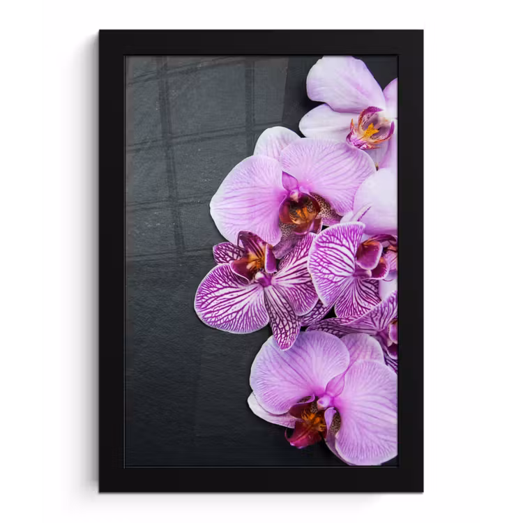 Orchidee - Bloemen - Roze - Flora fotolijst zwart zonder passe partout klein -3d