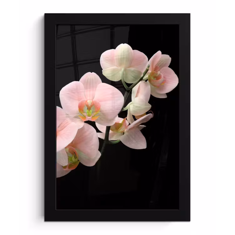 Orchidee - Bloemen - Roze - Stilleven - Flora fotolijst zwart zonder passe partout klein -3d