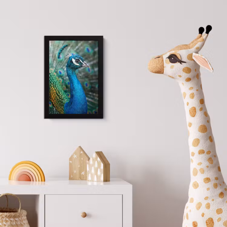 Pauw - Veren - Blauw fotolijst zwart zonder passe partout klein -usfeer4_kinderkamer