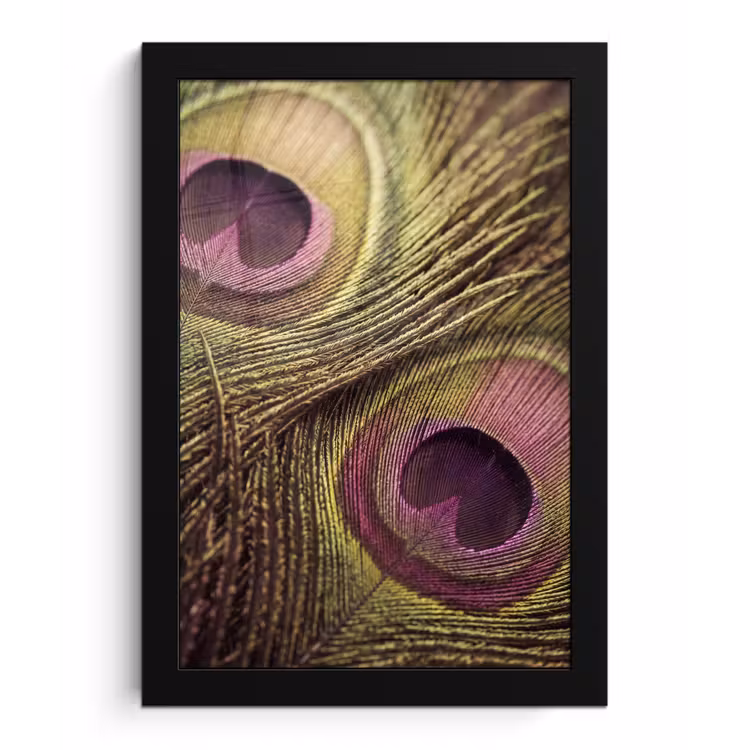 Pauw - Veren - Paars - Groen fotolijst zwart zonder passe partout klein -3d