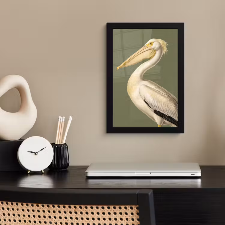 Pelikaan - Wit - Vogel - Klassiek - Natuur fotolijst zwart zonder passe partout klein -sfeer1