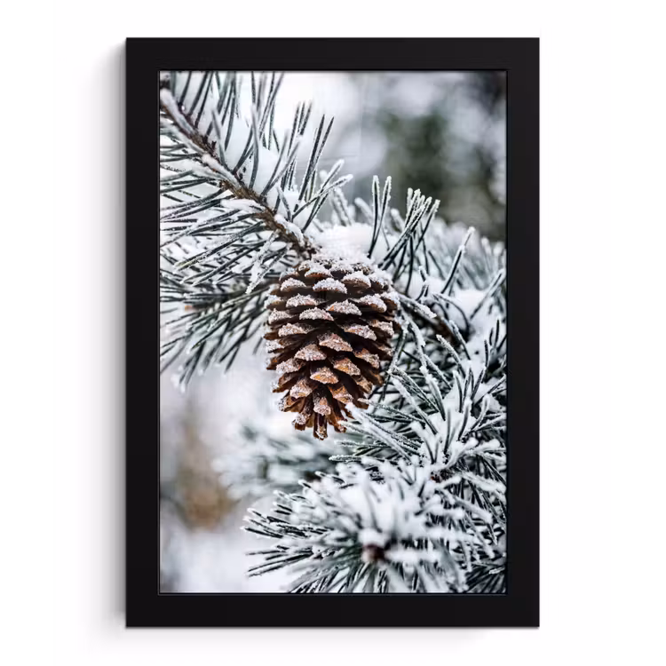 Dennenappel - Tak - Sneeuw - Winter - Sfeervol fotolijst zwart zonder passe partout klein -3d