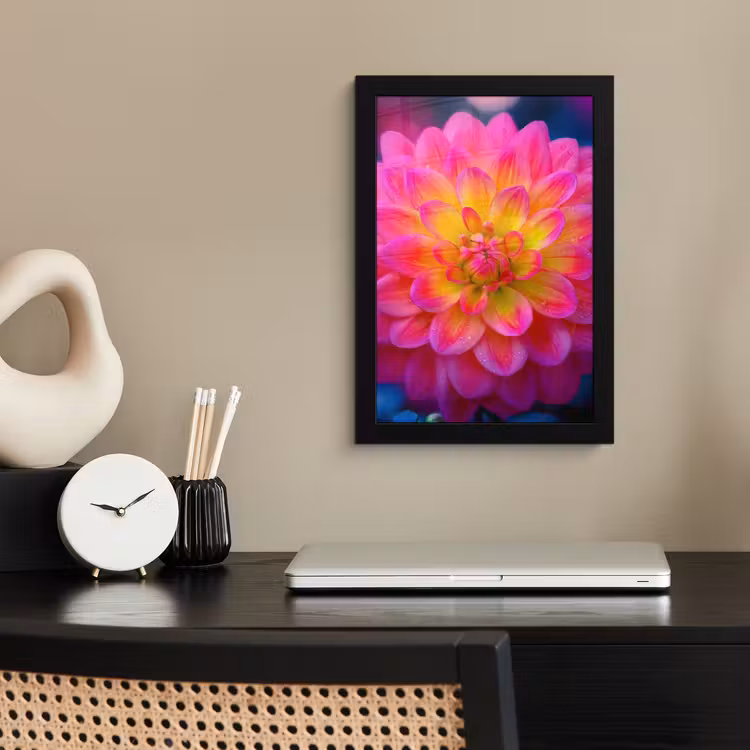 Roze - Dahlia - Kleurrijk fotolijst zwart zonder passe partout klein -sfeer1