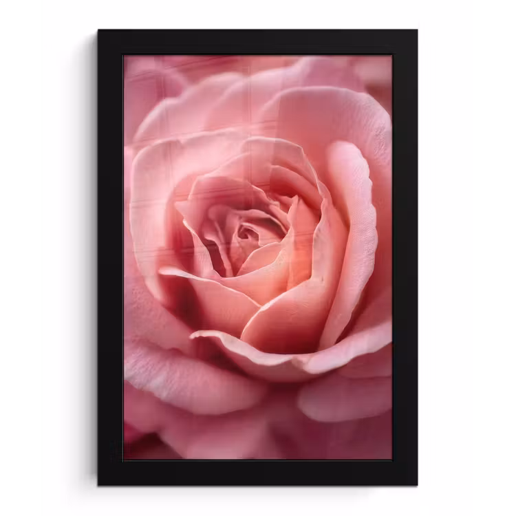 Roze - Roos - Romantisch fotolijst zwart zonder passe partout klein -3d