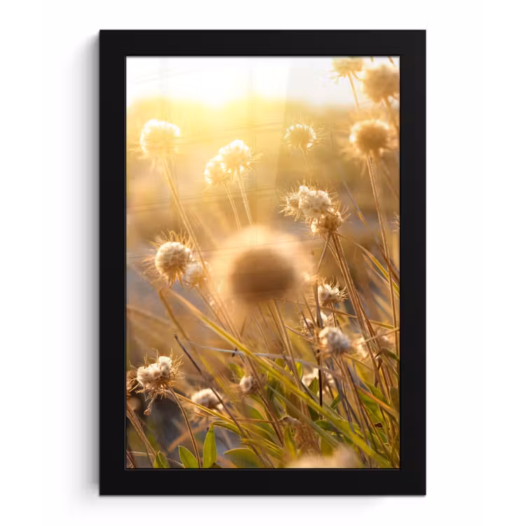 Planten - Natuur - Bloemen - Zon - Horizon fotolijst zwart zonder passe partout klein -3d