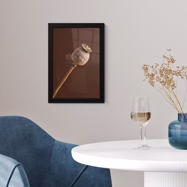 Papaverbol - Droogbloem - Bruin - Minimalistisch fotolijst zwart zonder passe partout klein -sfeer4