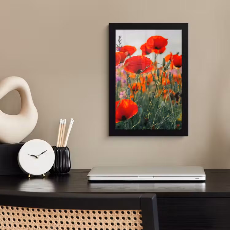 Klaproos - Bloemen - Rood - Paars - Weide fotolijst zwart zonder passe partout klein -sfeer1