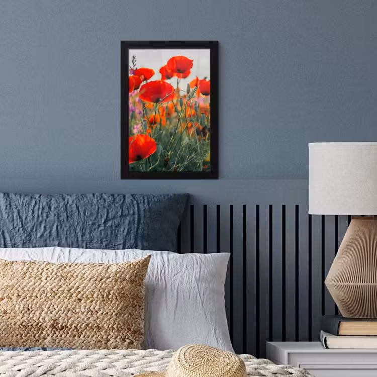 Klaproos - Bloemen - Rood - Paars - Weide fotolijst zwart zonder passe partout klein -sfeer3