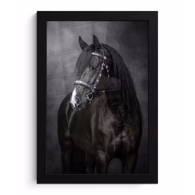 Portret - Paard - Zwart fotolijst zwart zonder passe partout klein -3d