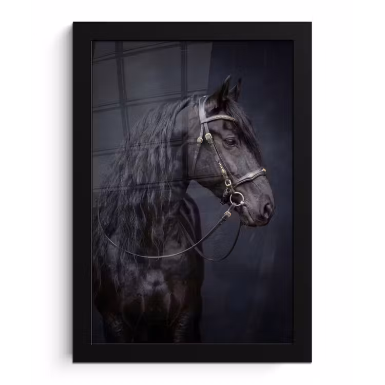 Portret - Paard - Donker fotolijst zwart zonder passe partout klein -3d
