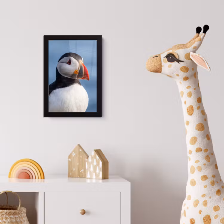 Papegaaiduiker - Portret - Natuur fotolijst zwart zonder passe partout klein -usfeer4_kinderkamer