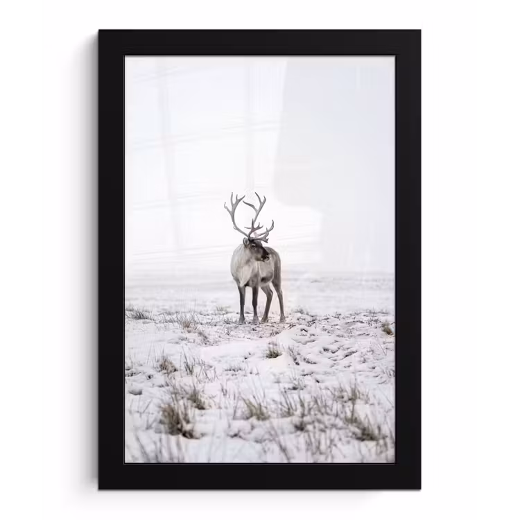 Rendier - Gewei - Sneeuw - Winter fotolijst zwart zonder passe partout klein -3d