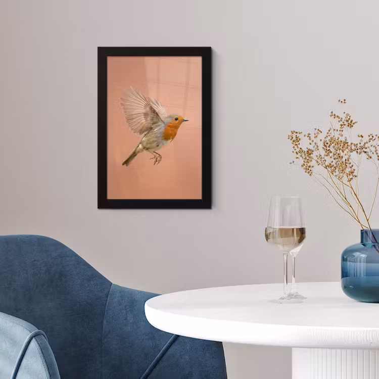 Roodborst - Natuur - Roze fotolijst zwart zonder passe partout klein -sfeer4