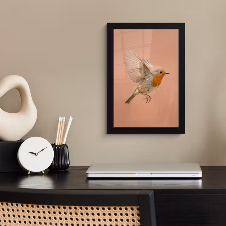 Roodborst - Natuur - Roze fotolijst zwart zonder passe partout klein -sfeer1