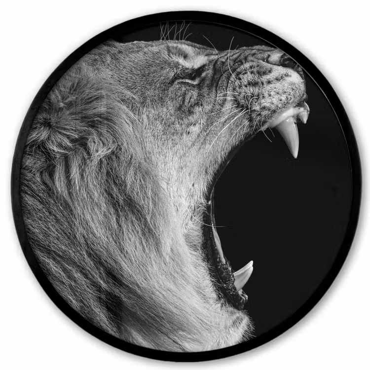 Dieren - Leeuw - Zwart - Wit - Portret Fotolijst rond zonder passe partout klein -3d
