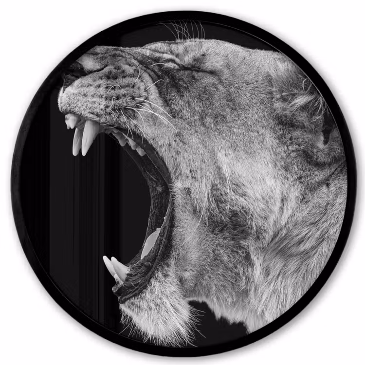 Dieren - Leeuw - Zwart - Wit - Portret Fotolijst rond zonder passe partout klein -3d