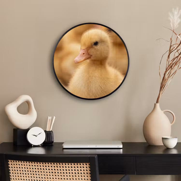 Pijltje - Eend - Natuur - Geel Fotolijst rond zonder passe partout klein -sfeer1