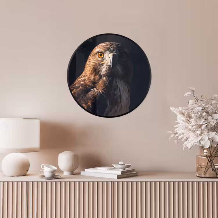 Roofvogel - Buizerd - Bruin Fotolijst rond zonder passe partout klein -sfeer3