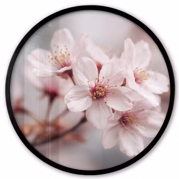 Bloesems - Meeldraden - Geel - Wazig Fotolijst rond zonder passe partout klein -3d