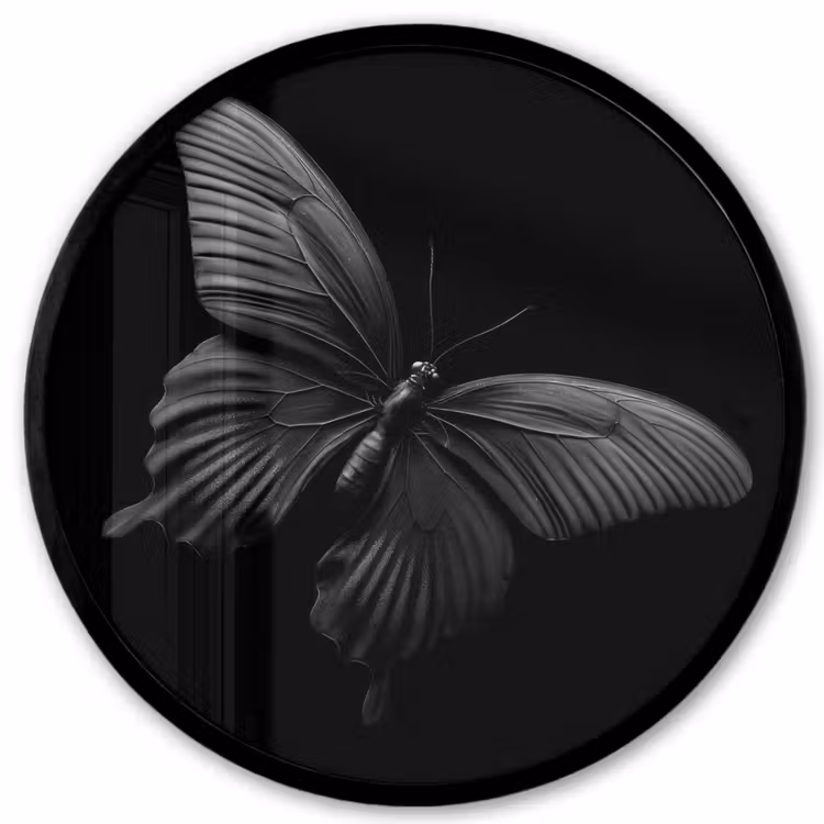 Vlinder - Zwart - Insect - Dieren Fotolijst rond zonder passe partout klein -3d