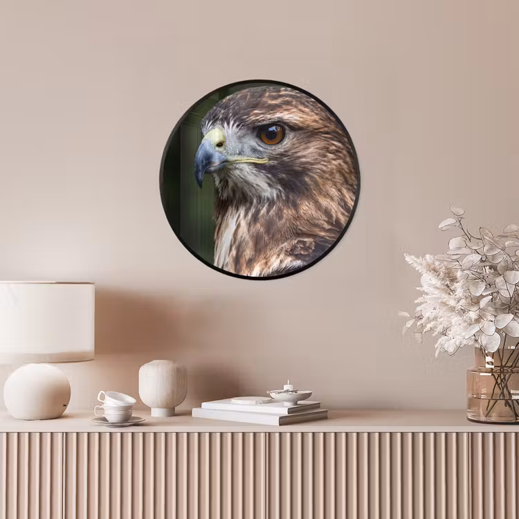 Buizerd - Roofvogel - Natuur - Bruin Fotolijst rond zonder passe partout klein -sfeer3