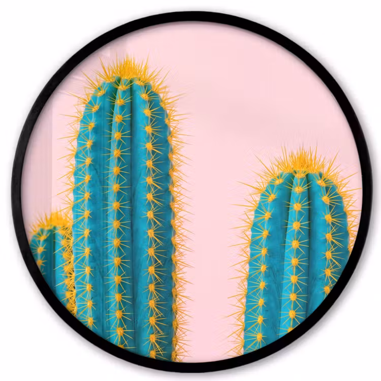 Cactussen - Modern - Pastel Fotolijst rond zonder passe partout klein -3d