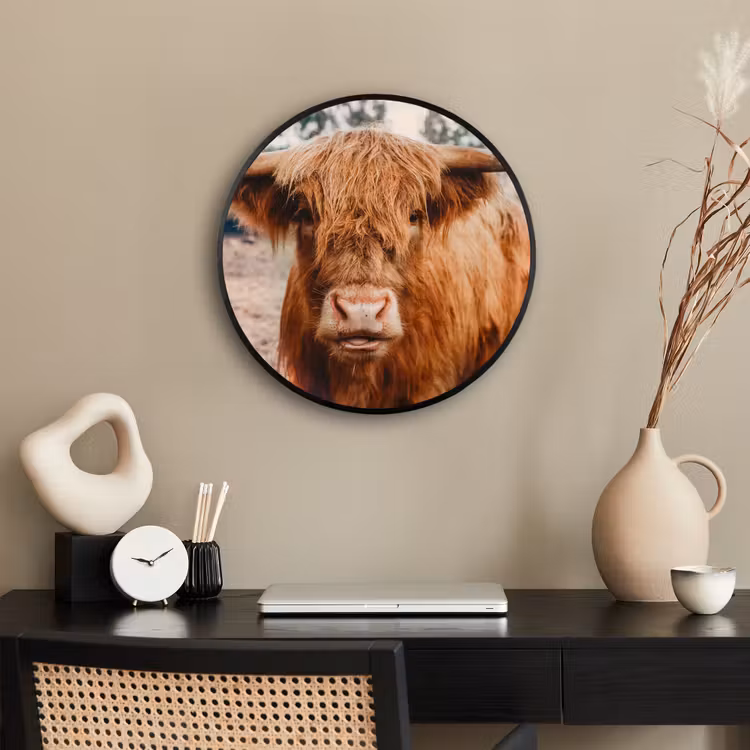 Koe- Schotse hooglander - Hoorns - Bruin - Landschap Fotolijst rond zonder passe partout klein -sfeer1