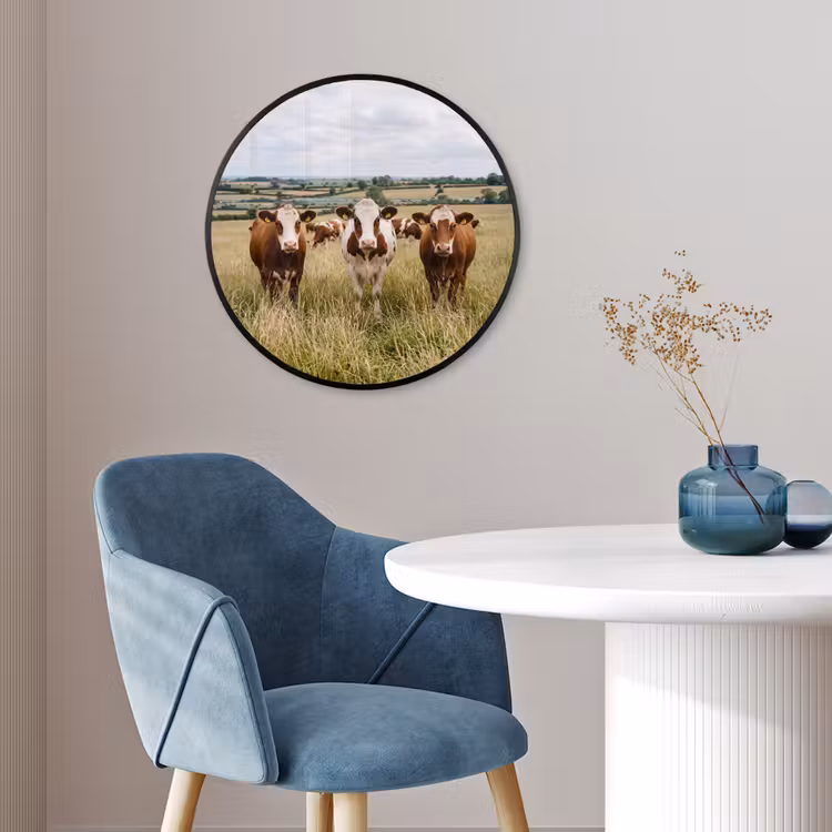Koeien - Portret - Weide - Boerderij - Nieuwsgierig Fotolijst rond zonder passe partout klein -sfeer2