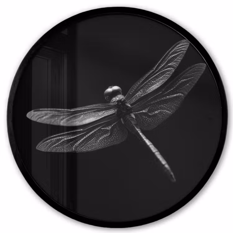 Libelle - Dieren - Zwart - Insect Fotolijst rond zonder passe partout klein -3d