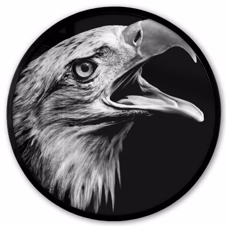 Adelaar - Portret - Roofvogels - Zwart - Wit - Vogel Fotolijst rond zonder passe partout klein -3d