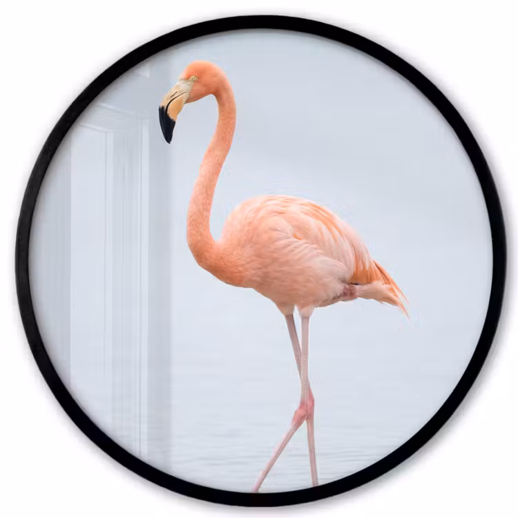 Flamingo - Zee - Roze Fotolijst rond zonder passe partout klein -3d