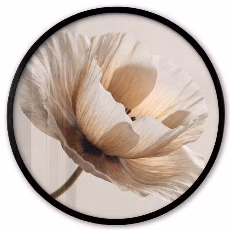 Bloem - Beige - Crème Fotolijst rond zonder passe partout klein -3d