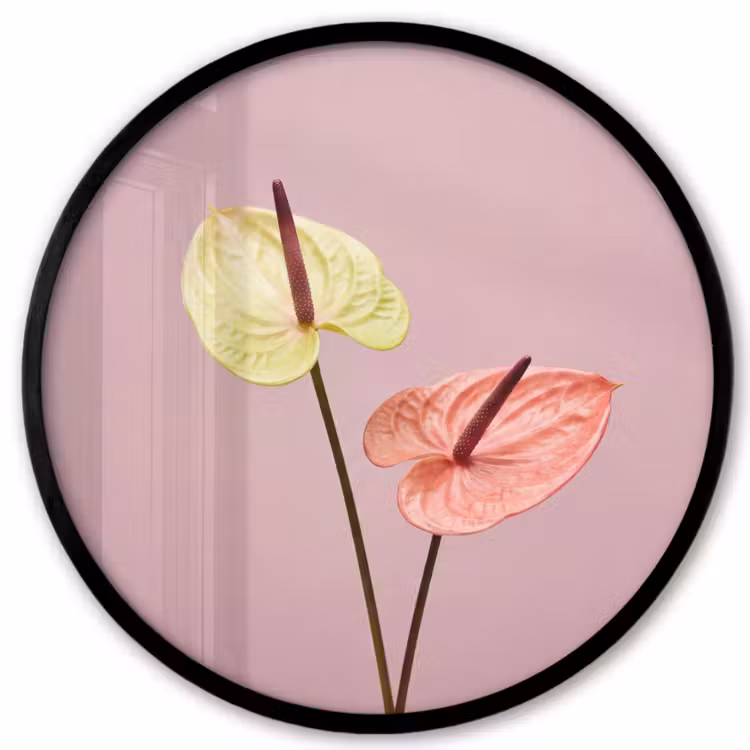 Bloemen - Anthuriums - Geel - Roze Fotolijst rond zonder passe partout klein -3d