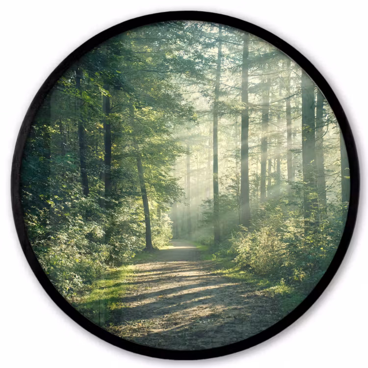Bos - Pad - Zon - Bomen - Groen - Natuur Fotolijst rond zonder passe partout klein -3d