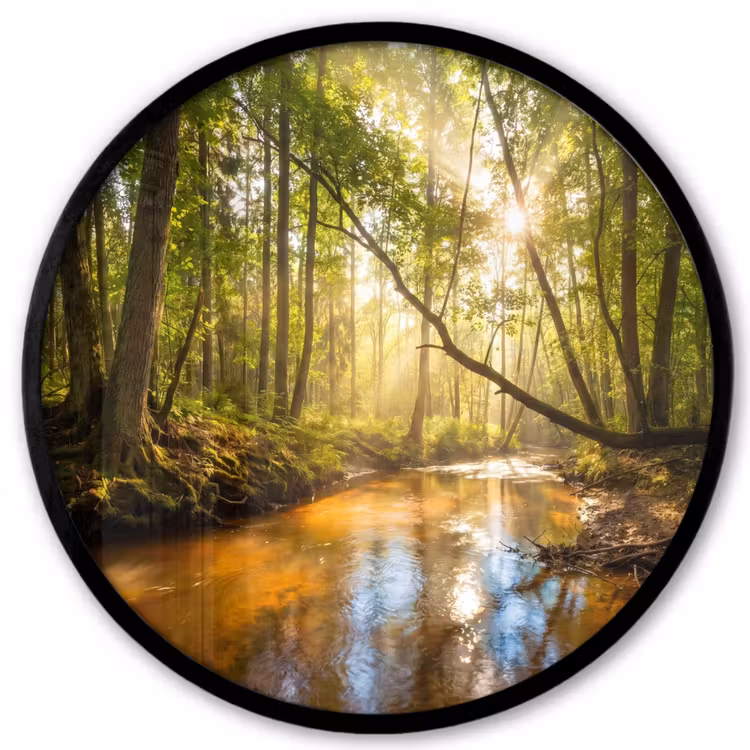 Bos - Beek - Zonlicht - Natuur - Groen Fotolijst rond zonder passe partout klein -3d