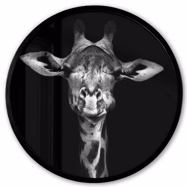 Giraffe - Portret - Dieren - Zwart - Wit Fotolijst rond zonder passe partout klein -3d