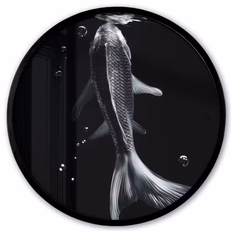 Koi - Vissen - Water - Zwart Fotolijst rond zonder passe partout klein -3d