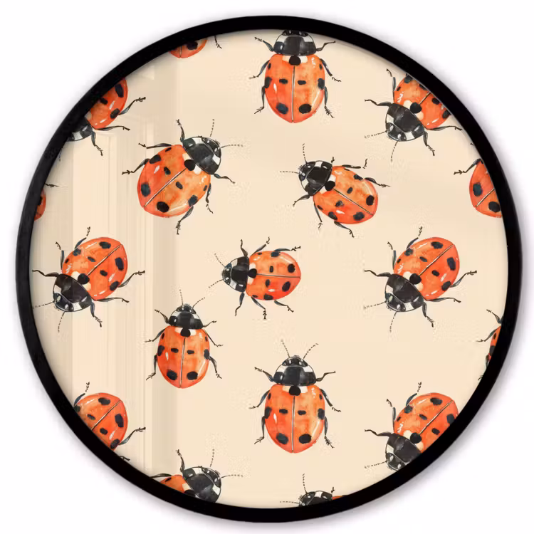 Lieveheersbeestjes - Patroon - Rood Fotolijst rond zonder passe partout klein 856 -3d