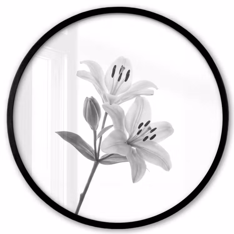 Lelies - Elegant - Zwart - Wit Fotolijst rond zonder passe partout klein -3d