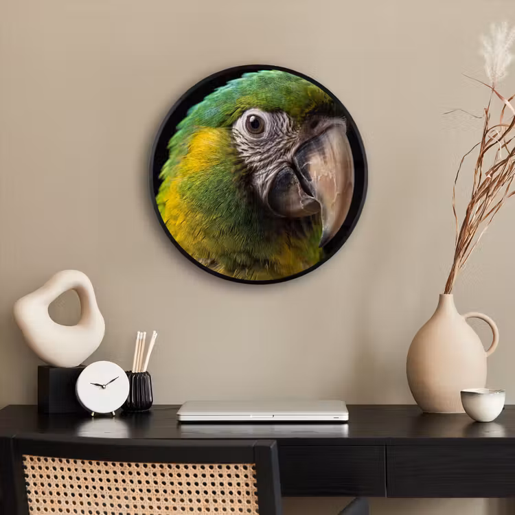 Ara - Portret - Groen Fotolijst rond zonder passe partout klein -sfeer1