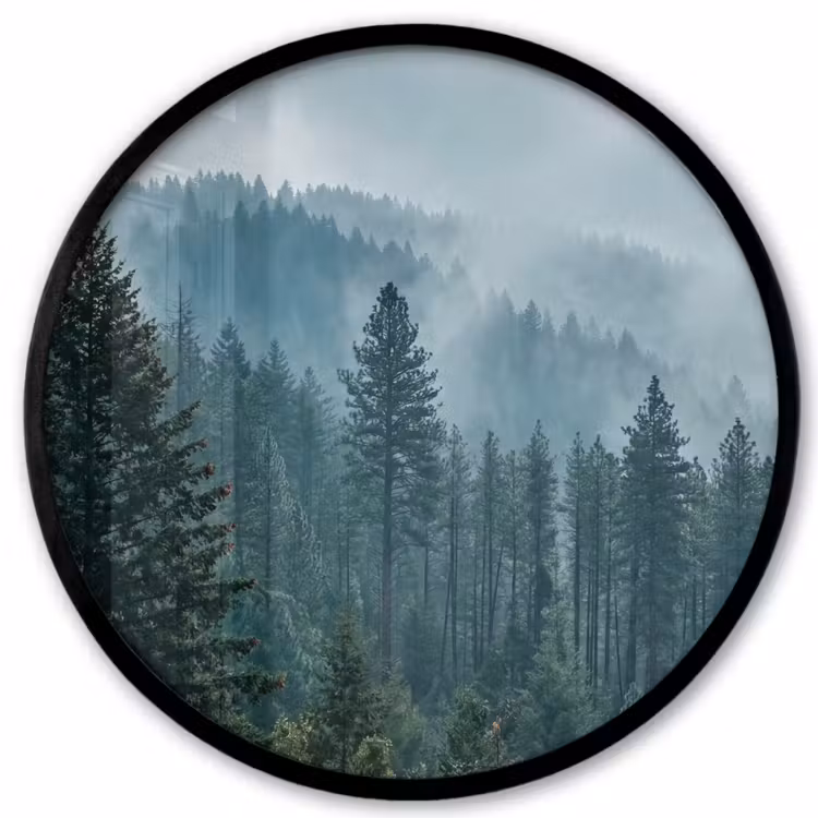 Naaldwoud - Bergen - Mist Fotolijst rond zonder passe partout klein -3d