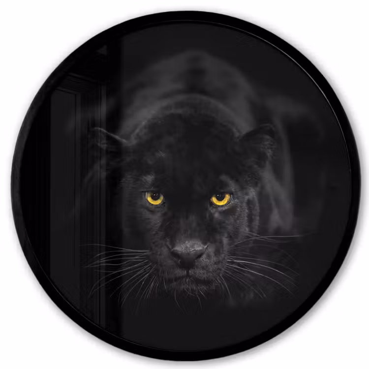 Panter - Dieren - Zwart - Ogen Fotolijst rond zonder passe partout klein -3d