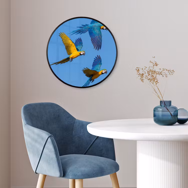 Papagaai - Vliegen - Blauw - Geel Fotolijst rond zonder passe partout klein -sfeer2