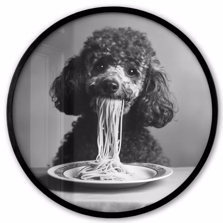 Poedel - Hond - Zwart - Wit - Schattig - Pasta Fotolijst rond zonder passe partout klein -3d