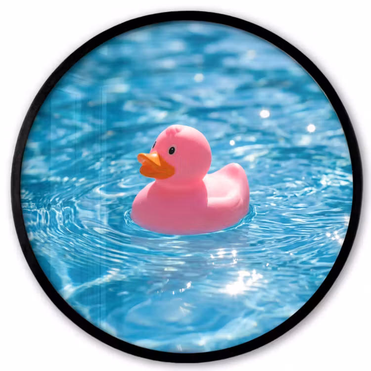 Badeend - Dobberend - Roze Fotolijst rond zonder passe partout klein -3d