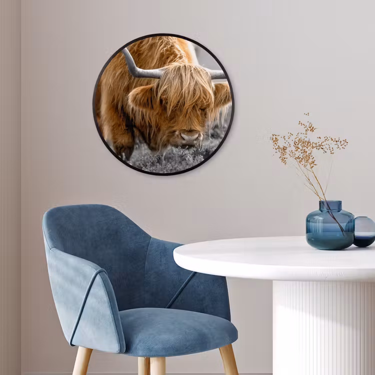 Schotse Hooglander - Dieren - Bruin - Koe - Zwart - Wit - Natuur Fotolijst rond zonder passe partout klein -sfeer2